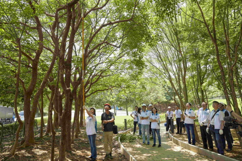 藝師教導大家認識樹木、檢查樹的健康狀況，學習修枝及碎枝覆土